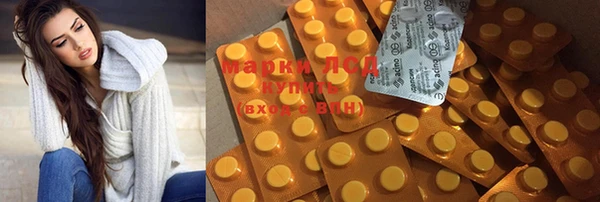ГАЛЛЮЦИНОГЕННЫЕ ГРИБЫ Армянск