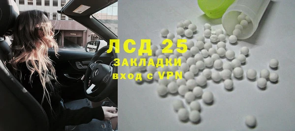 прущие грибы Аркадак