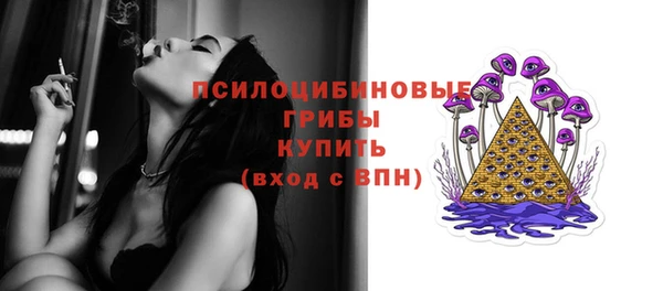 прущие грибы Аркадак