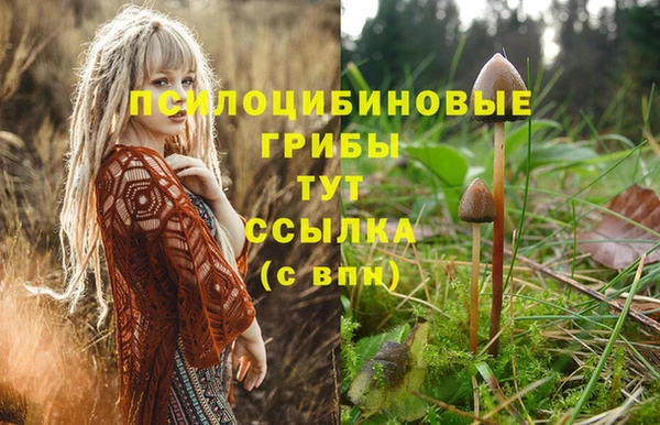 наркотики Арсеньев