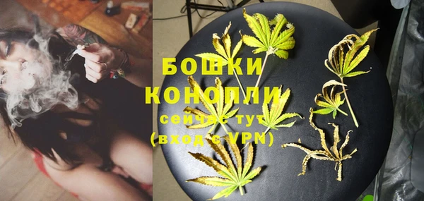 прущие грибы Аркадак