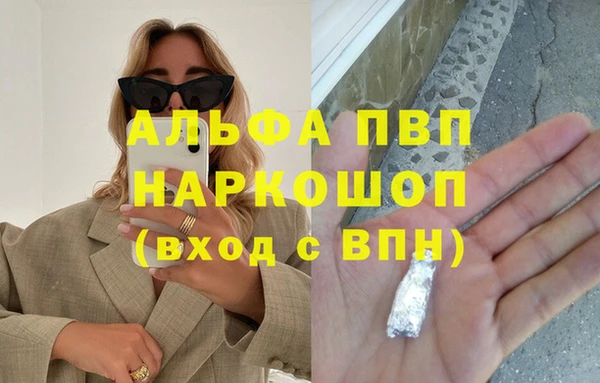 прущие грибы Аркадак
