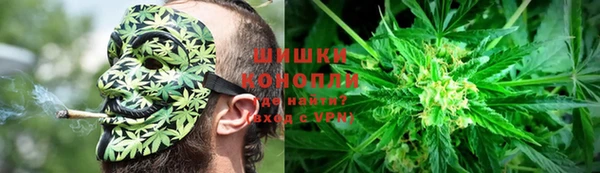 ГАЛЛЮЦИНОГЕННЫЕ ГРИБЫ Армянск