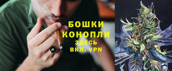 ГАЛЛЮЦИНОГЕННЫЕ ГРИБЫ Армянск