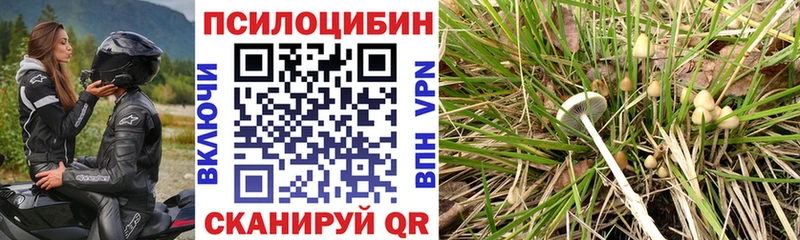 Галлюциногенные грибы MAGIC MUSHROOMS  где купить наркоту  Верхотурье 